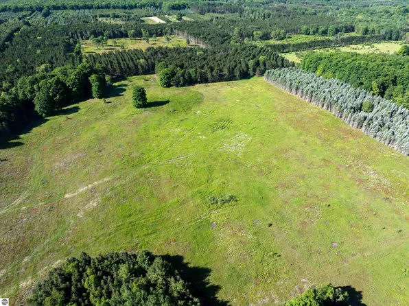 E Sparling Rd, Fife Lake, MI 49633