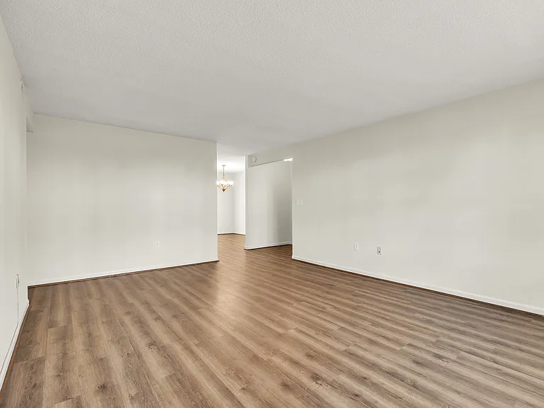 925 Cleveland St #289 — Photo 7