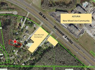 14931 Ogden Loop, Odessa, FL 33556