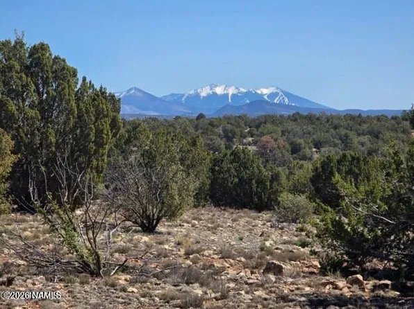 8001 W Clear Fork Loop, Williams, AZ 86046