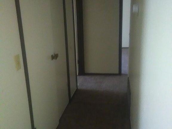 5th image of 4312 Vfw Dr APT 2