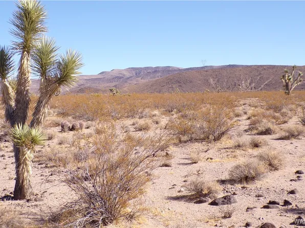 19252 N Pinto Rd, White Hills, AZ 86445