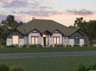 10679 Chestnut Warbler, New Braunfels, TX 78132