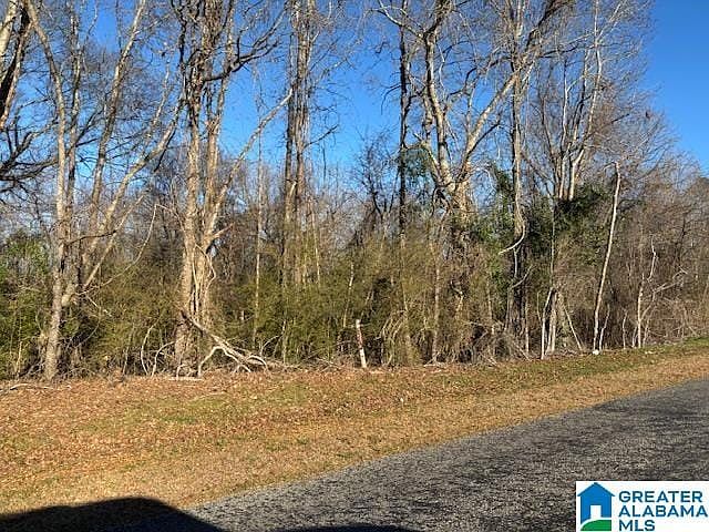 2nd image of 0 County Road 48