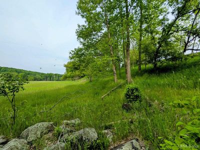 W 3173 Swede Settlement Rd, Vulcan, MI, 49892