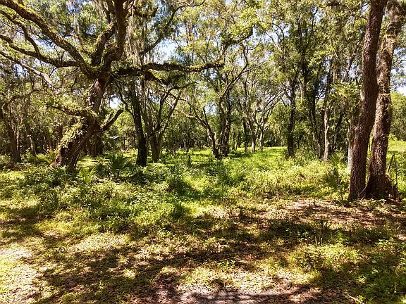 5th image of 14090 Mossy Hammock Ln