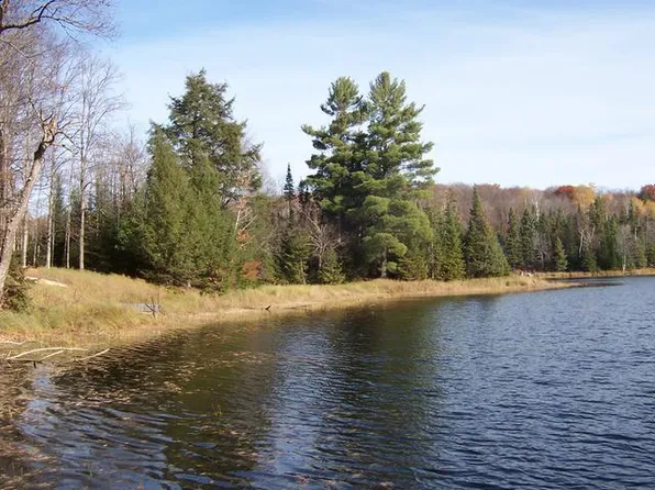 2468 Boat Landing Lake Rd, Bruce Crossing, MI 49912