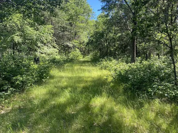 0 LYNN HILL ROAD #Parcel 1300440E, Nekoosa, WI 54457