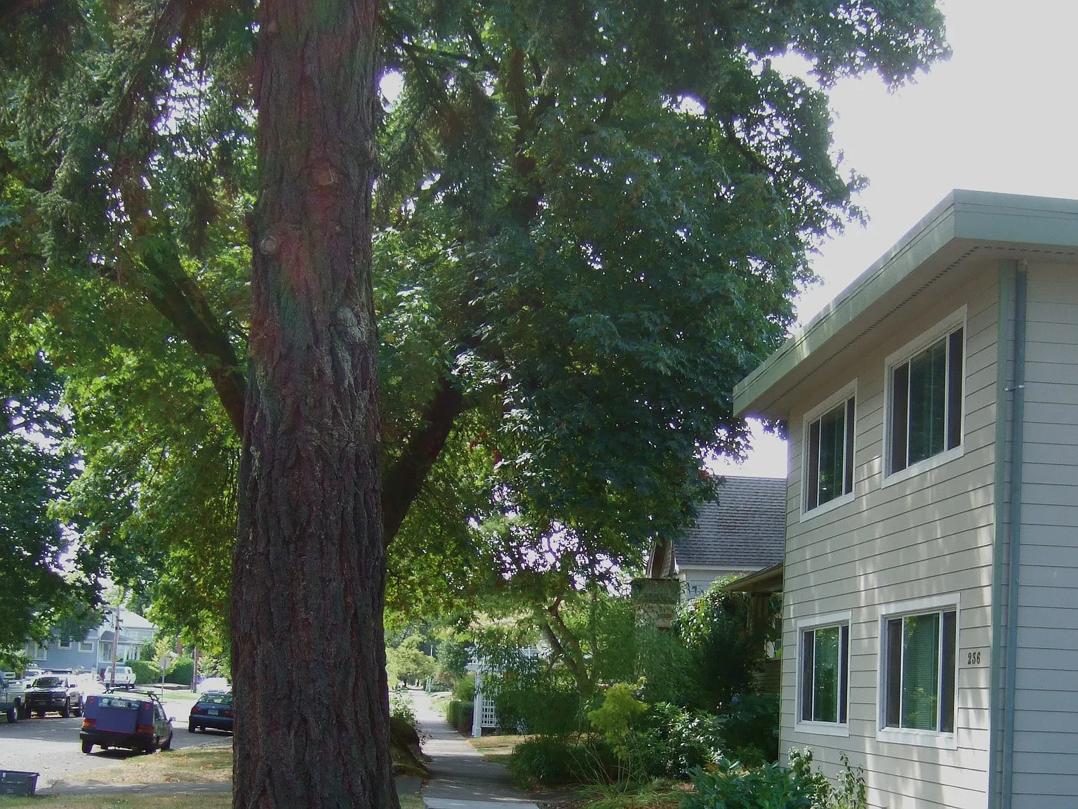 2 bed, 625 sqft, $1,495 — Photo 3