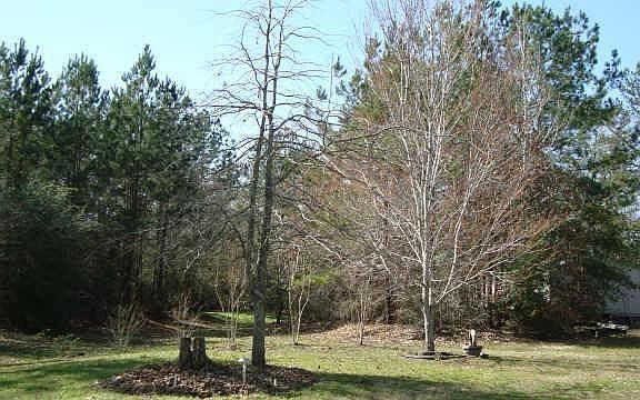 5th image of 24903 Shady Oaks Boulevard