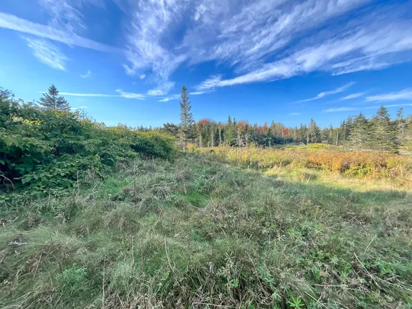 Lots 7 & 8 Bay Road, Jonesboro, ME 04648