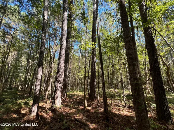 Highway 84 W, Roxie, MS 39661