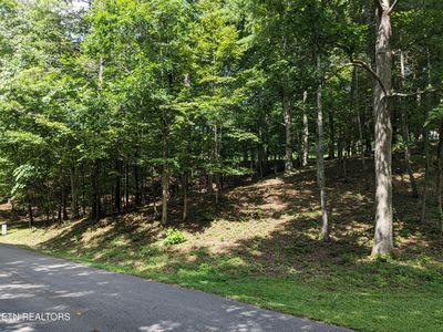 746 Hunters Run Rd, Townsend, TN, 37882