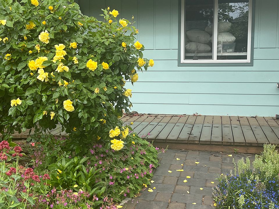 Back door