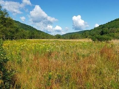 0 Route 44 N, Coudersport, PA, 16915