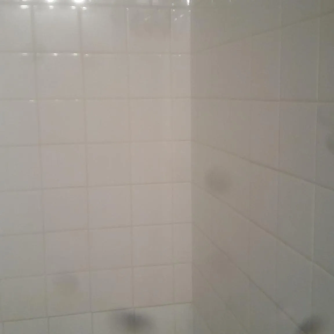 691 Madelon Ct — Photo 4