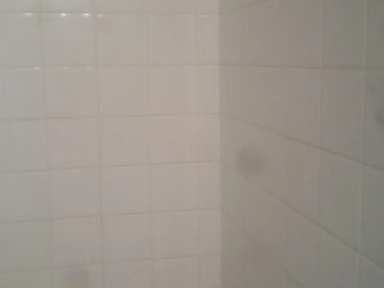 691 Madelon Ct — Photo 4