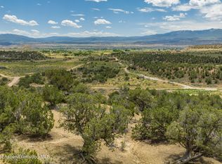 1171 Scutter Ln, Rifle, CO 81650