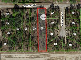 1142 W Riley Dr, Citrus Springs, FL 34434