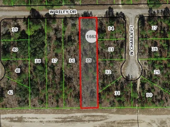 1142 W Riley Dr, Citrus Springs, FL 34434