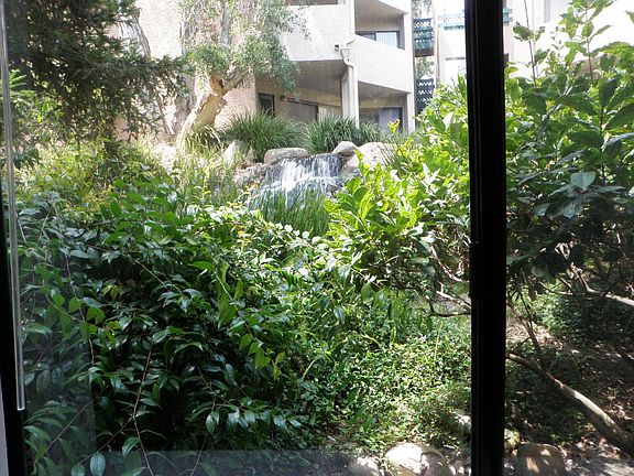 view from dining room
