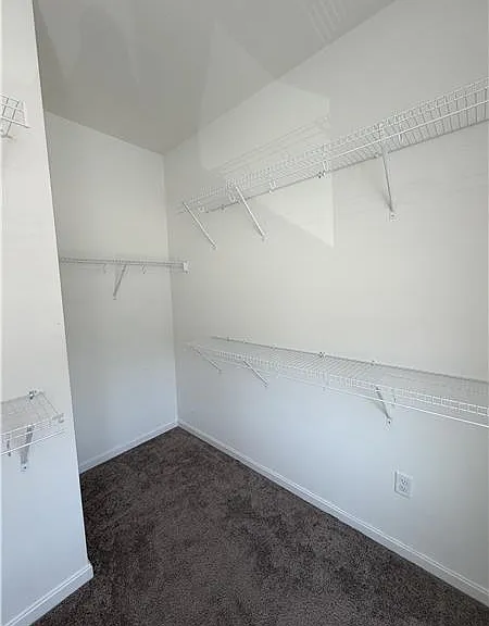 4208 Aine Dr — Photo 25