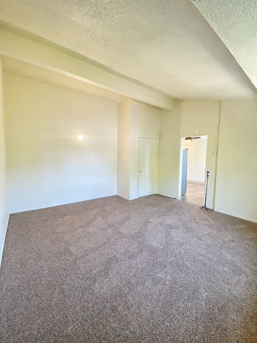 Living room - 215 Semple St #4