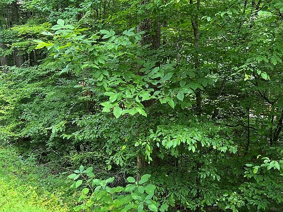 5th image of 406 Ski View Ln Lot 406