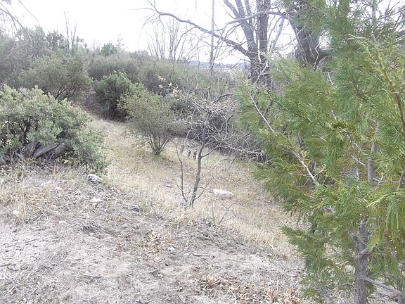 2nd image of 29696 Hickory