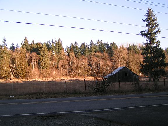4th image of 29015 180th Ave SE