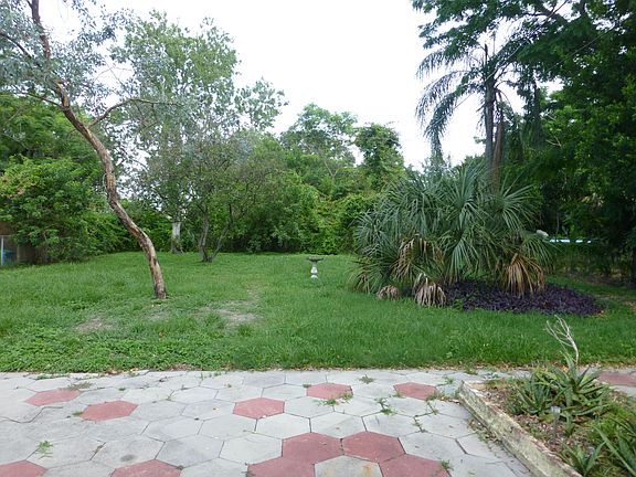 Amazing Back Yard 