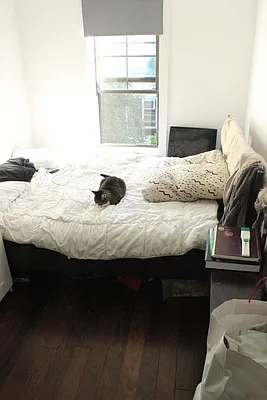 Rented by True Real Estate Group | media 16