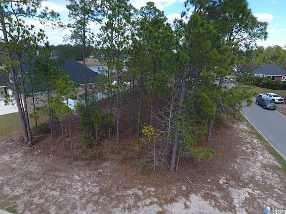 4th image of TBD Henry James Dr. #East Covington Drive