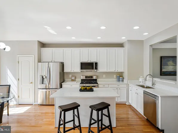 19086 Pileated Ter, Leesburg, VA 20176