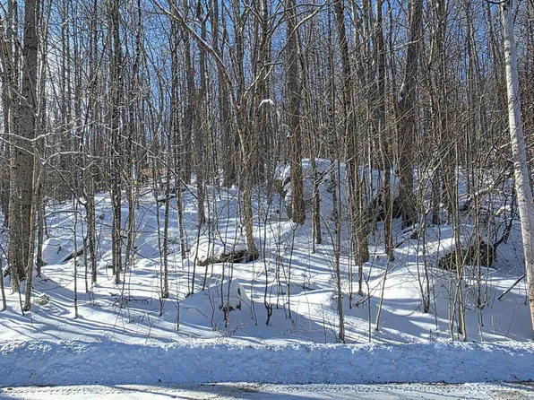 M111 L24&25 Tigola Trail, Stoddard, NH 03464