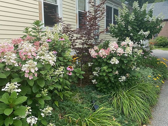 4th image of 29 Grant Street