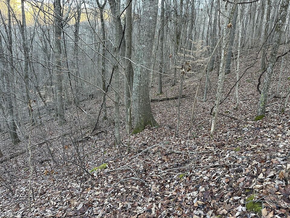 2nd image of 83 Stone Ridge Dr