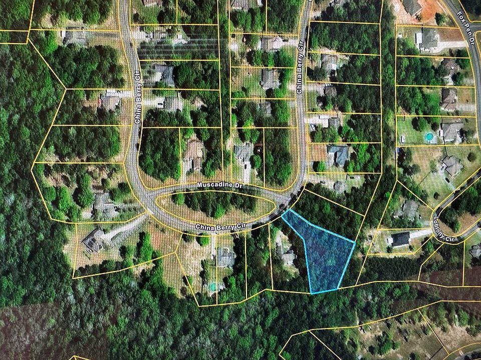 2nd image of 0 China Berry Cir