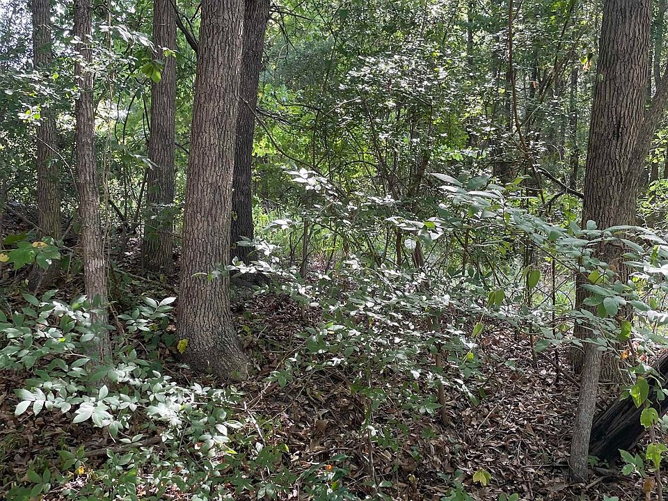 1st image of Harris Ln