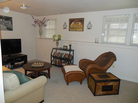 Lower Level Family Room