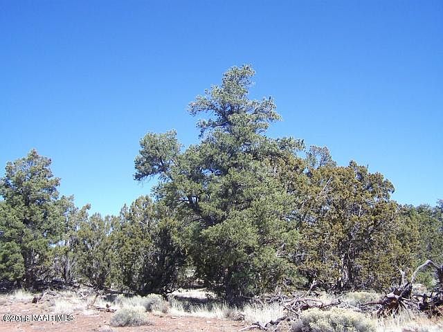 2nd image of 5628 N Windy Walk Way