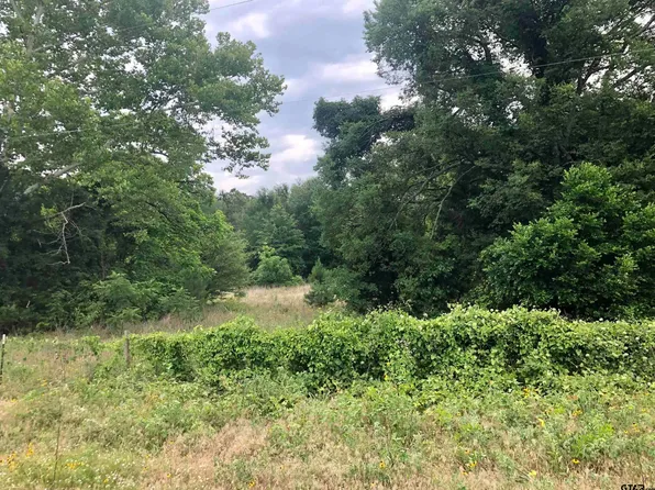 15106 County Road 384, Tyler East, TX 75708