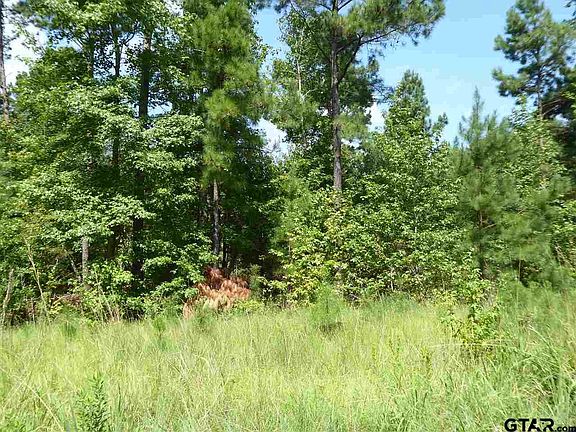 5th image of 0 N County Road 4131