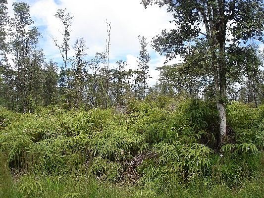 1st image of Kahukai St Lot 35
