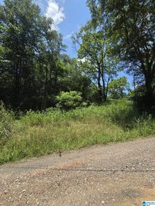 39 Thomas Rd #Na, Cordova, AL, 35550