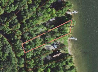 10218 W Munro Lake Dr, Levering, MI 49755
