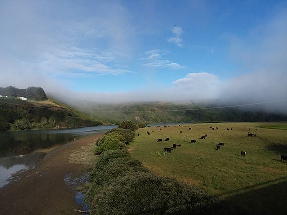 Russian River, Bodega Bay 