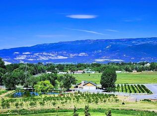 1036 E Main St, Cedaredge, CO 81413