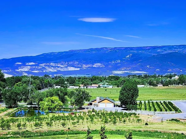 1036 E Main Street, Cedaredge, CO 81413