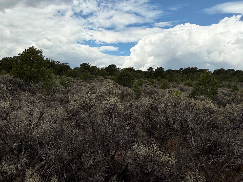 2nd image of Lot 2 Colorado Rd